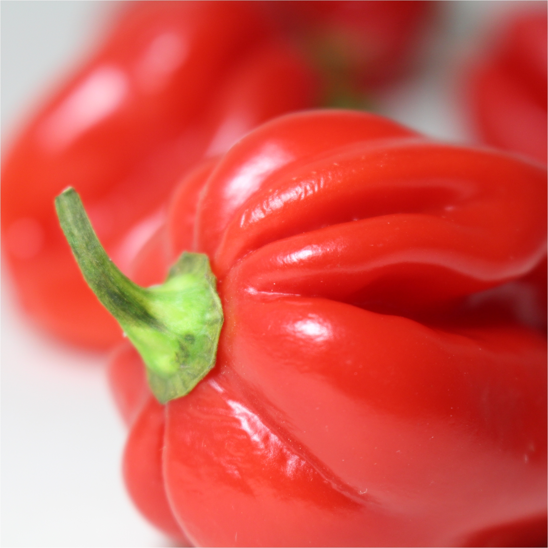 01_habanero.jpg